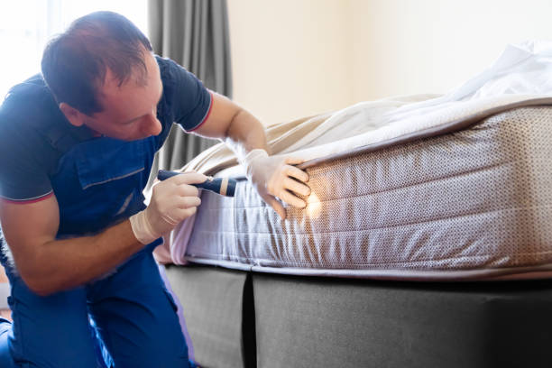 Best Fumigation Services  in Jackson, OH